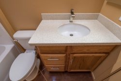 Guest bath vanity and elongated toilet